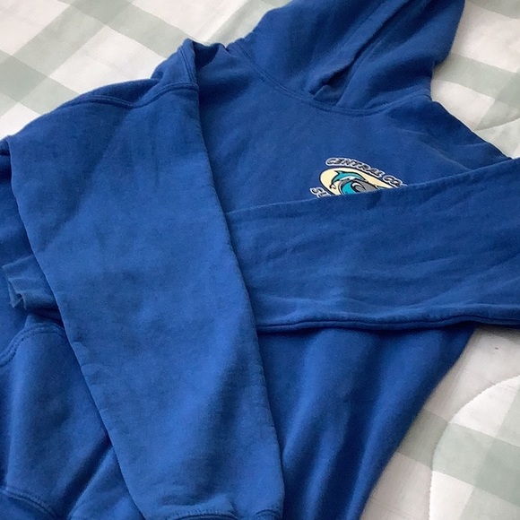 CCS San Luis Obispo, CA Pullover Dolphin Logo Hoodie - Picture 4 of 7